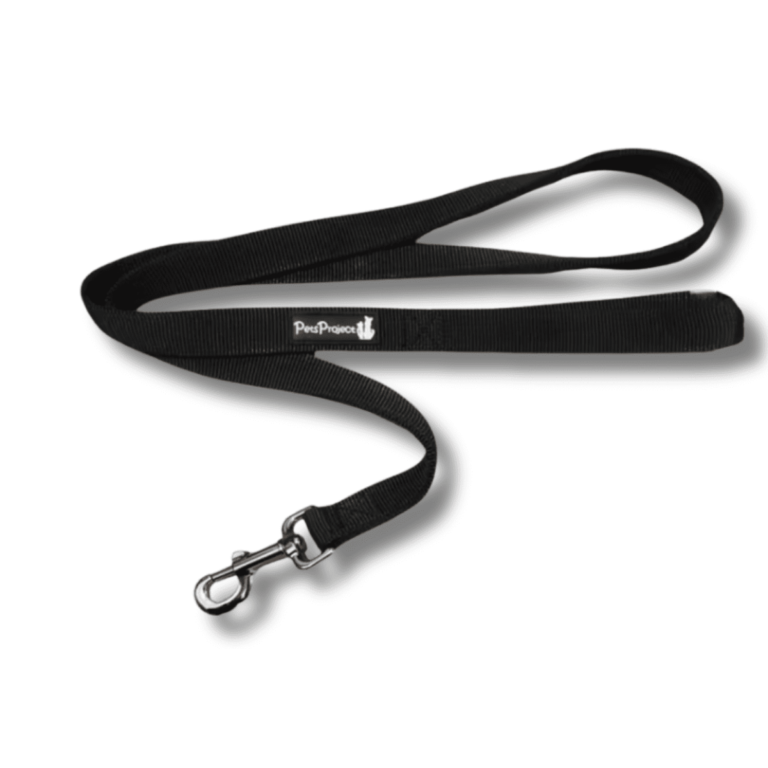 רצועה בייסיק כפולה 2.5 מ' 1 יחידות