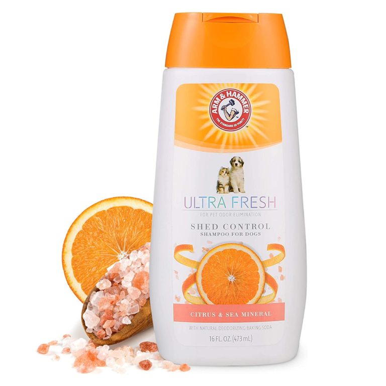 ארם&האמר שמפו לטיפול בנשירה לכלב