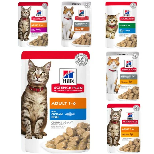 פאוץ' הילס לחתול