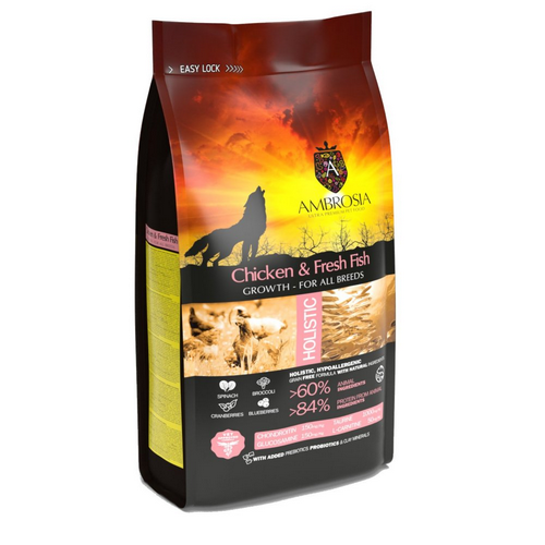 אמברוסיה גורים עוף ודג