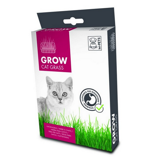 דשא לחתולים אמפט