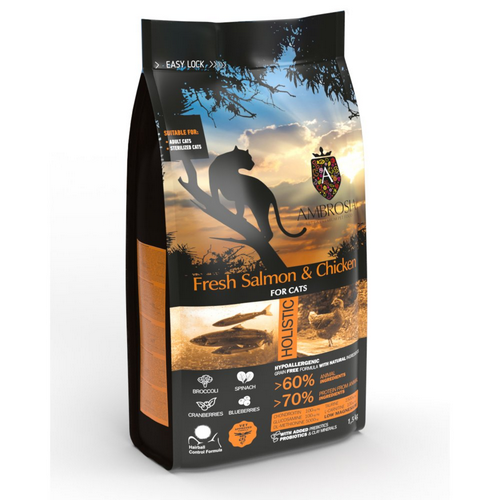 אמברוסיה חתול מסורס סלמון ועוף כתום 5 קילוגרם