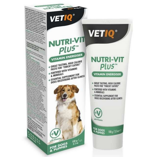 ויטמינים ומינרלים לכלבים ולגורים במשחה 100 גרם