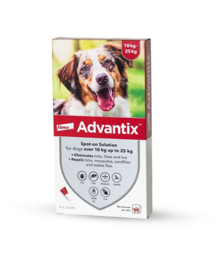 הדברה לכלב אדוונטיקס נגד קרציות ופרעושים