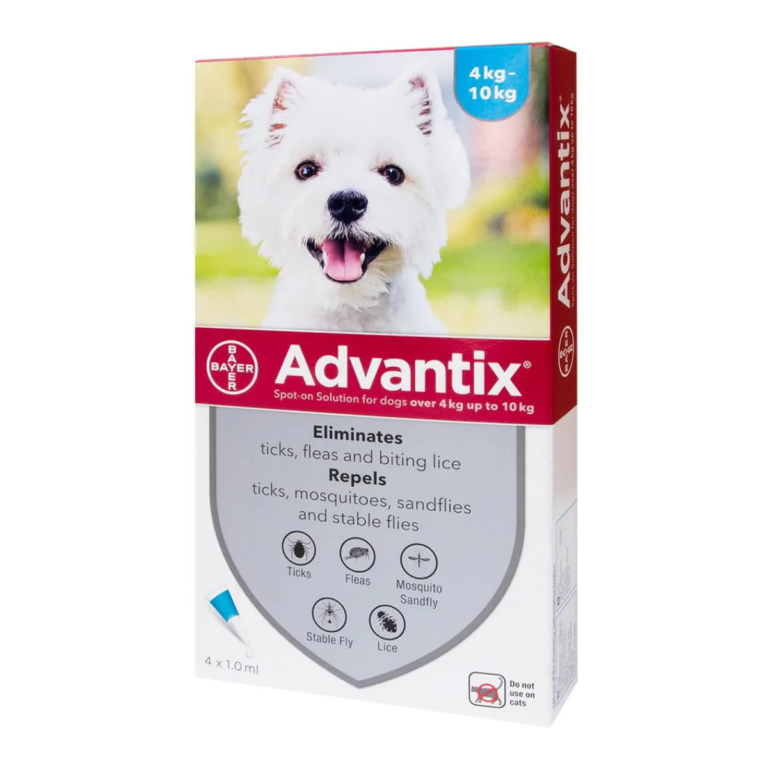 אדוונטיקס 4-10 ק"ג