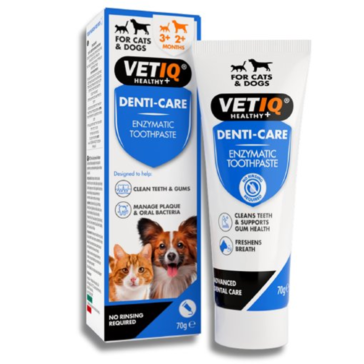 משחת שיניים אנטיבקטריאלית לכלבים וחתולים ללא צחצוח