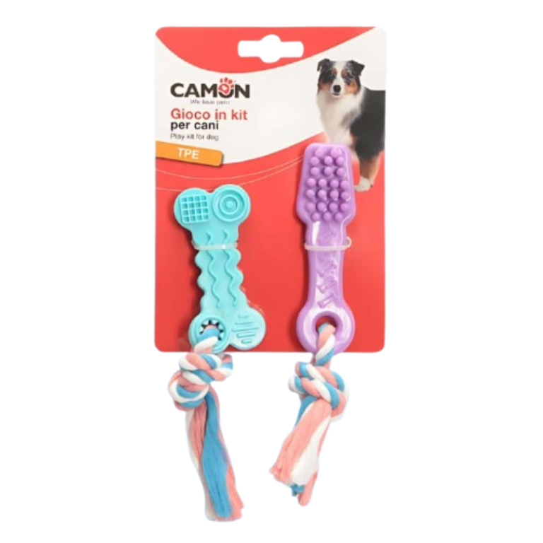 קמון סט נשכנים לכלב