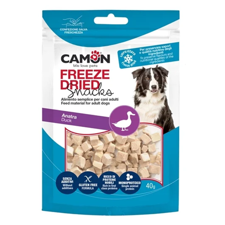 פריז דריי קוביות ברווז