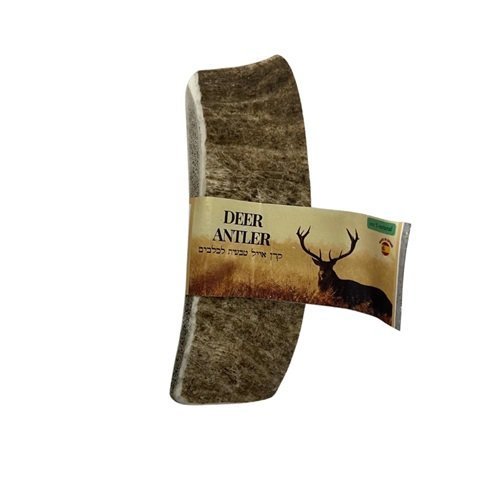 קרן יחמור טבעית לכלב