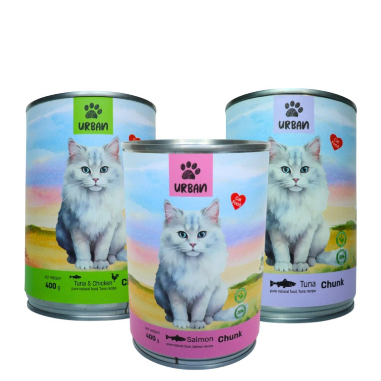 שימור אורבן לחתול