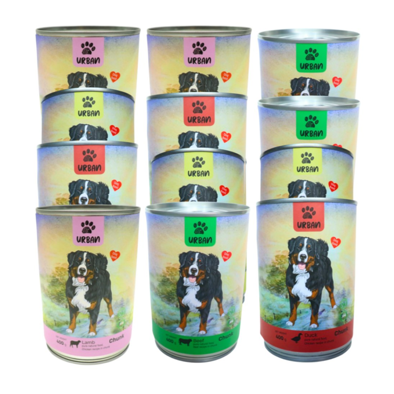 שימור אורבן לכלב